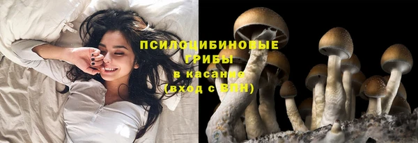 каннабис Абинск