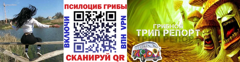 Псилоцибиновые грибы GOLDEN TEACHER  наркота  hydra как войти  Собинка 